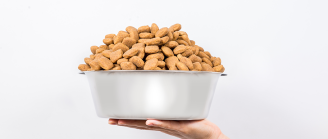 croquettes pour chien